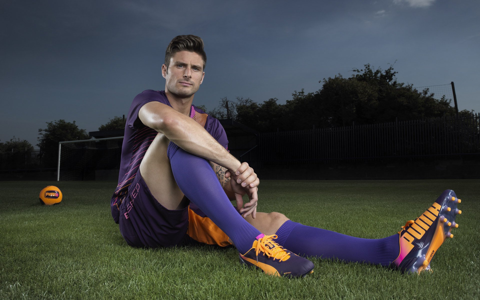 社交媒体互动：车迷投票选出最喜欢的赛季瞬间，车迷爱好者介绍